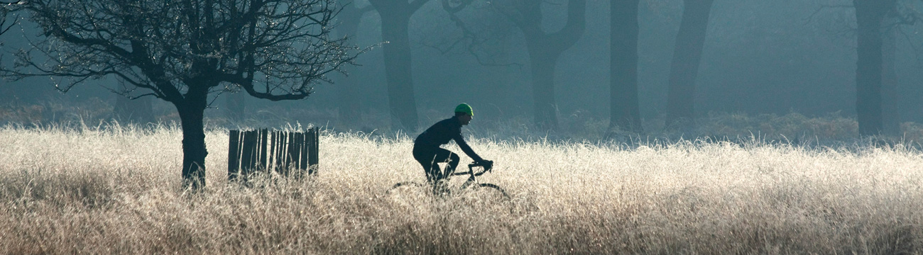 Cyclist in park