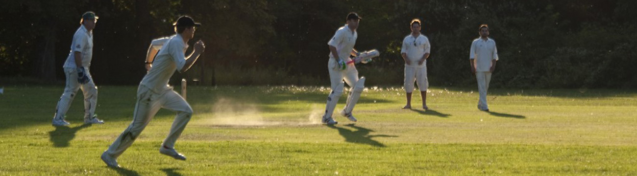 People playing cricket, Barnes