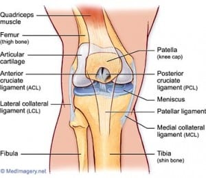 Knee pain cycling discount