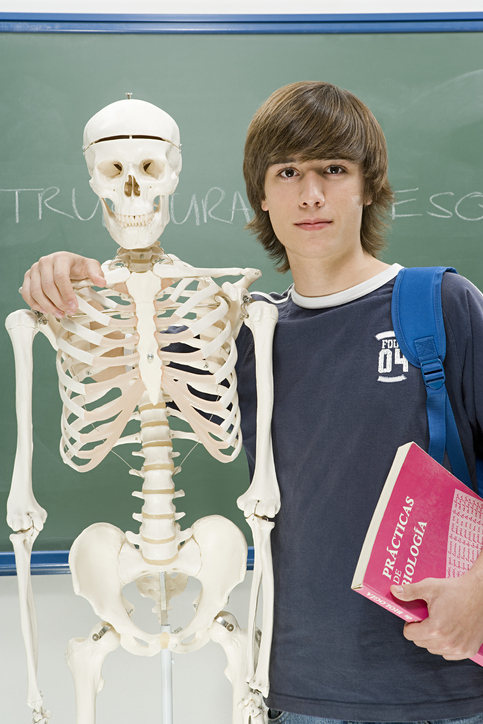 teenage skeleton