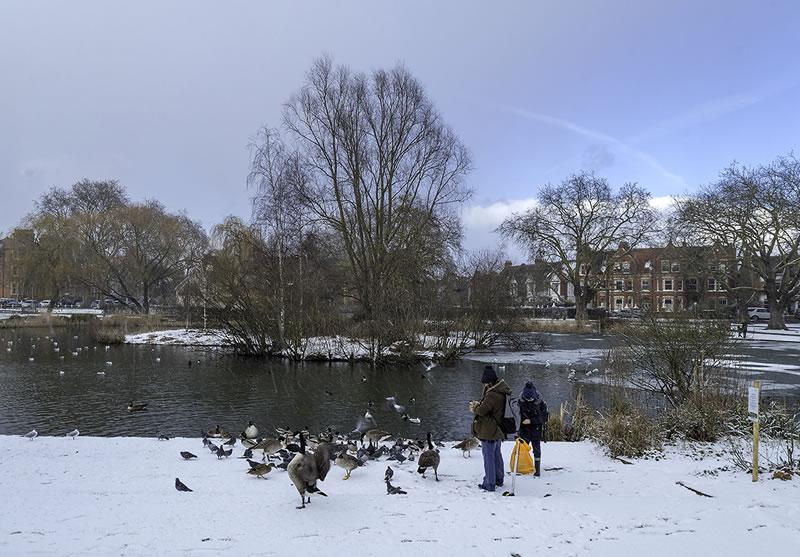 Barnes pond in the snow