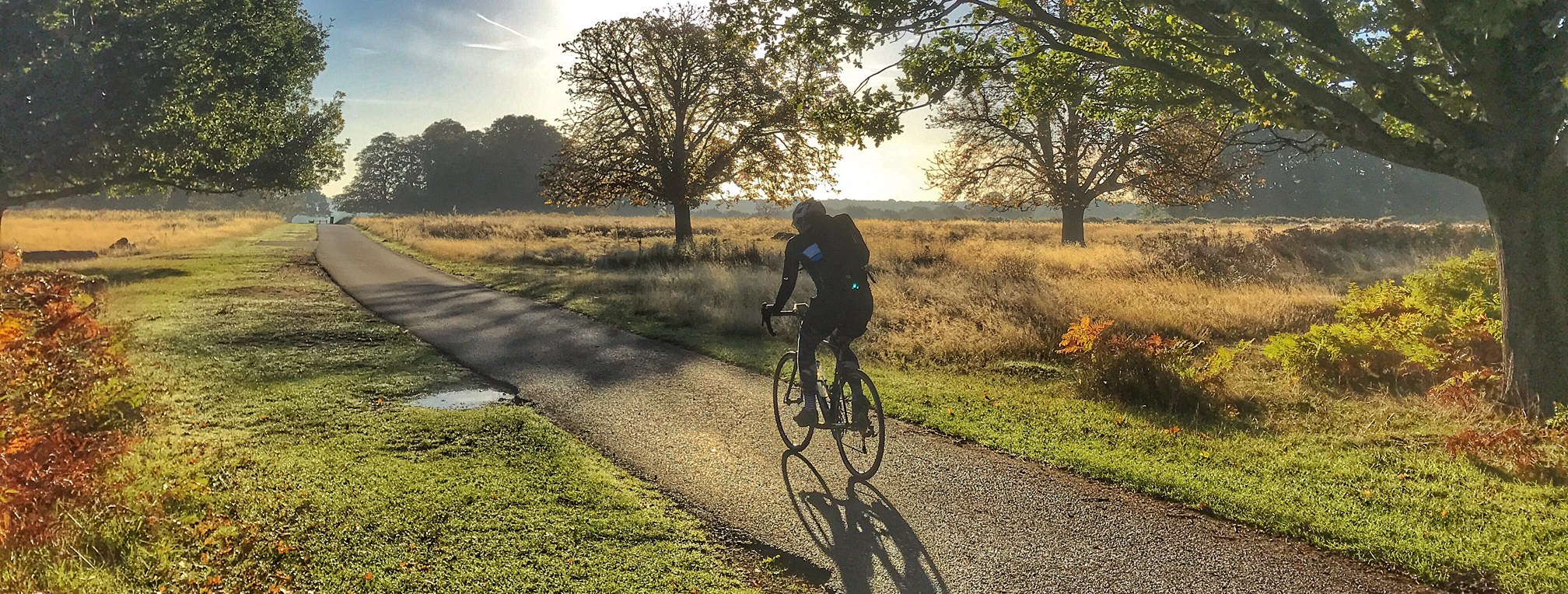 Cycling in Richmond Park, Andrew Wilson
